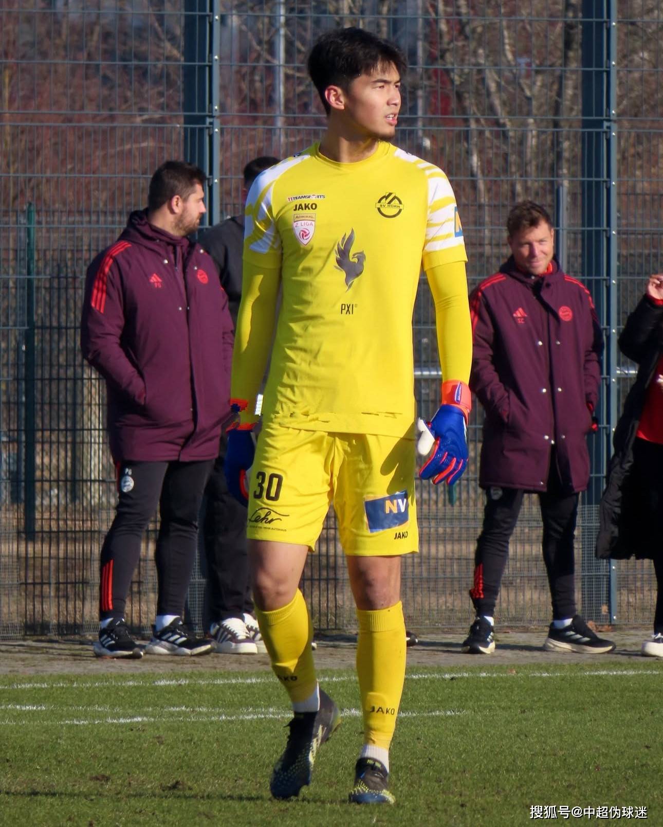 判似乎并不 判似乎并不